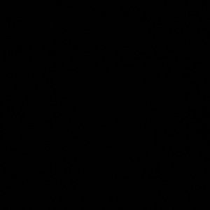 Meet your Posher, Dylan